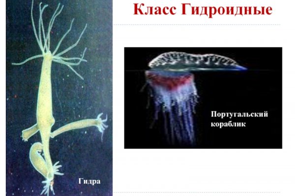Kraken актуальные ссылки официальный сайт