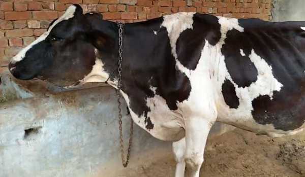 Кракен 17 рабочая ссылка